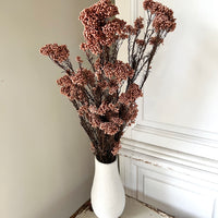 保鲜米花
