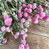 Naturally Dried  Strawberry Fields / Gomphrena Globasa