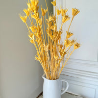 Naturally Dried / Coloured Nigella Flower