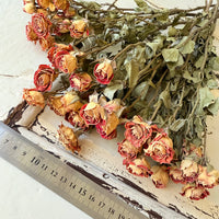 自然干燥玫瑰