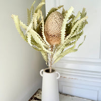 Naturally Dried Banksia & King Protea & Protea - Australian Native