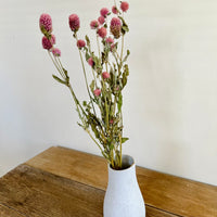 Naturally Dried  Strawberry Fields / Gomphrena Globasa