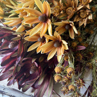 Naturally Dried Leucadendron