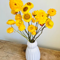 Naturally Dried Strawflower Daisy flower bunch - Helichrysum / Everlasting / Paper Daisy - stems / heads