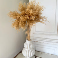 Naturally Dried Reed Canary Grass / Mischanthus Grass / Mini Pampas Grass