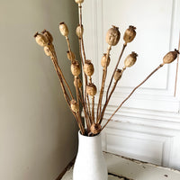 Naturally Dried Poppy Pods / Papaver - natural brown