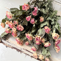 Dried Spray Mini Rose