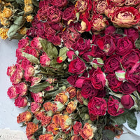 Naturally Dried Spray Rose