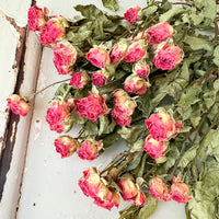 Naturally Dried Spray Rose