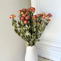 Naturally Dried Spray Rose