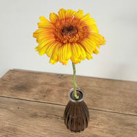 自然干燥玫瑰