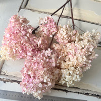 Antique Blush Hydrangea Bouquet (M)