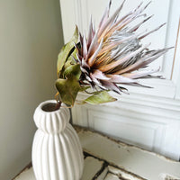 Naturally Dried Banksia & King Protea & Protea - Australian Native