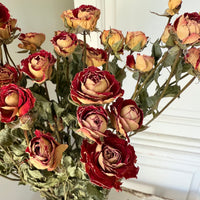 Naturally Dried Spray Rose