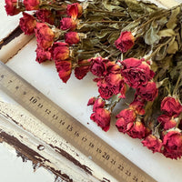 自然干燥玫瑰