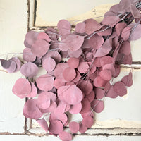 Preserved Eucalyptus / Gum