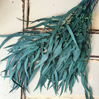 Preserved Eucalyptus / Gum