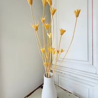 Naturally Dried / Coloured Nigella Flower