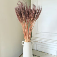 Dried Wheat