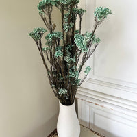 保鲜米花