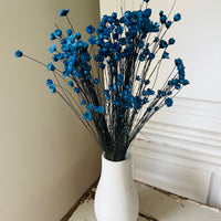 Dried Little Star / Baby Blue / Stardust / Baby Daisy / Star Daisy / Glixia
