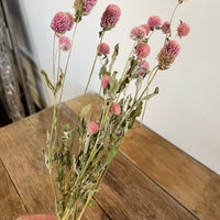 Naturally Dried  Strawberry Fields / Gomphrena Globasa