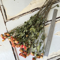 Naturally Dried Spray Rose