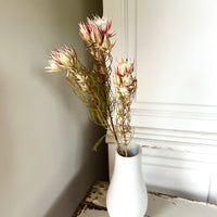 Naturally Dried Blushing Bride - natural pink
