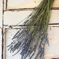 Naturally Dried Lavender bunch - blue purple