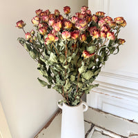 Dried Spray Mini Rose