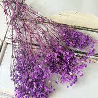 Preserved Baby's Breath
