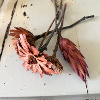 Dried Protea Repens