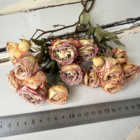 自然干燥玫瑰