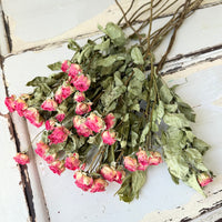 Naturally Dried Spray Rose