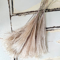 Naturally Dried Reed Canary Grass / Mischanthus Grass / Mini Pampas Grass