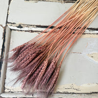 Dried Wheat