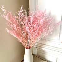 柔和 / 鲜艳色调 保存的补血草 | 薄雾 | 海薰衣草