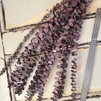 Preserved Eucalyptus / Gum