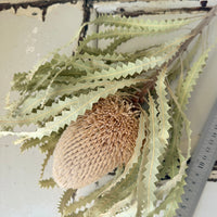 Naturally Dried Banksia & King Protea & Protea - Australian Native