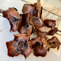 Dried Palm Caps - natural brown