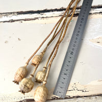 Naturally Dried Poppy Pods / Papaver - natural brown