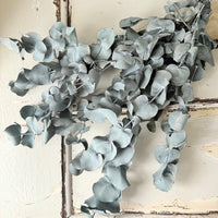 Preserved Eucalyptus – Dry-Touch 3D Finish