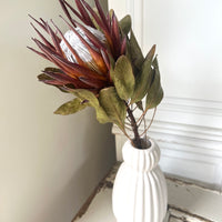 Naturally Dried Banksia & King Protea & Protea - Australian Native