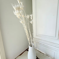 Naturally Dried / Coloured Nigella Flower