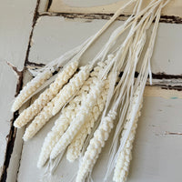 Dried Setaria / Foxtail Millet