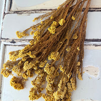 保鲜米花