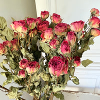 Naturally Dried Spray Rose