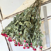 Naturally Dried Spray Rose