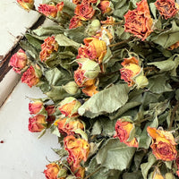 Naturally Dried Spray Rose