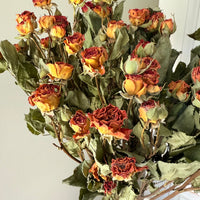 Naturally Dried Spray Rose